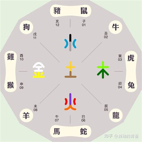 辰的五行|辰字五行中属什么